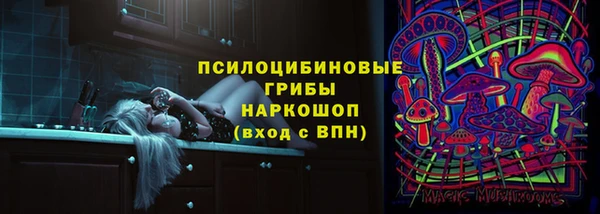 прущие грибы Алексеевка