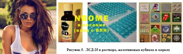 прущие грибы Алексеевка