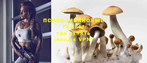 круглые Алексин