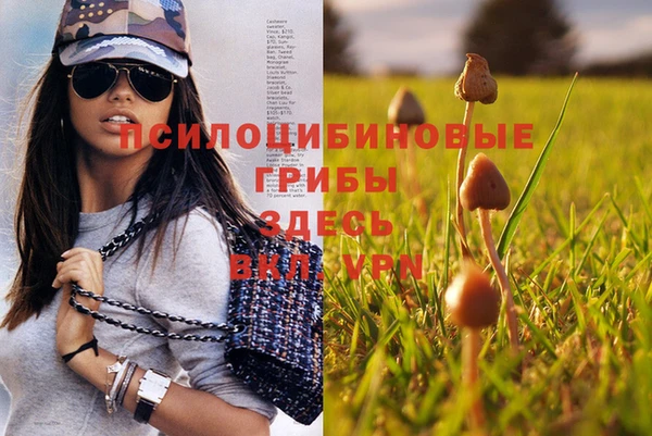 круглые Алексин