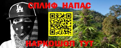 Альфа ПВП Малгобек