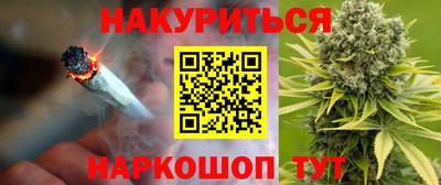 Альфа ПВП Малгобек