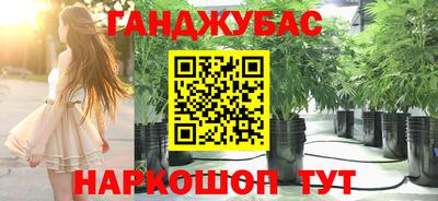 Альфа ПВП Малгобек
