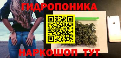 Альфа ПВП Малгобек