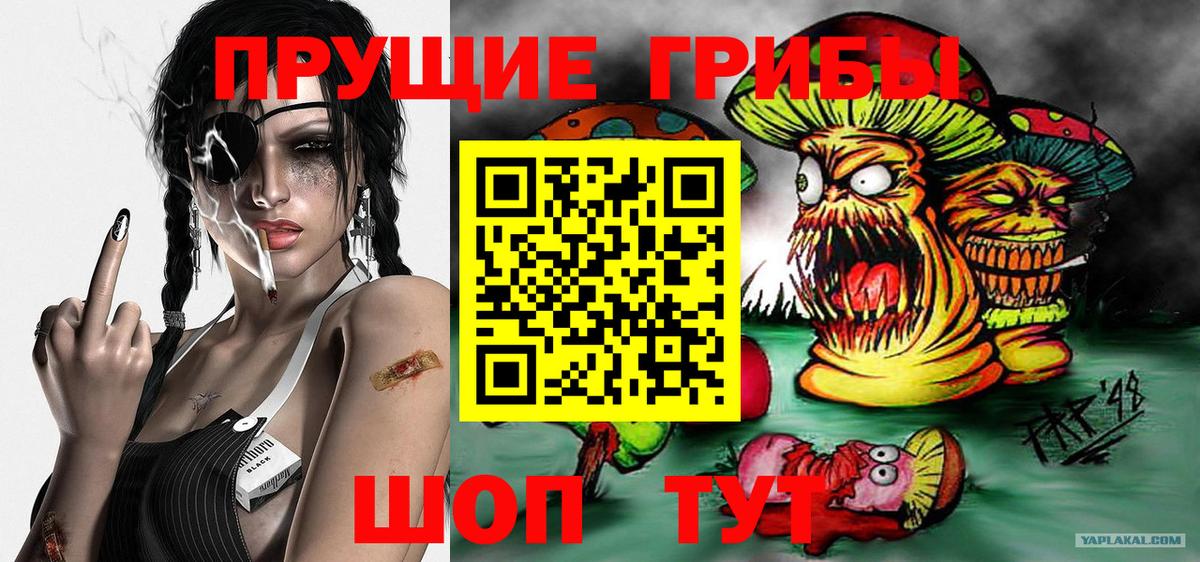 Дубна  Псилоцибиновые грибы ЛСД  Вход с VPN 