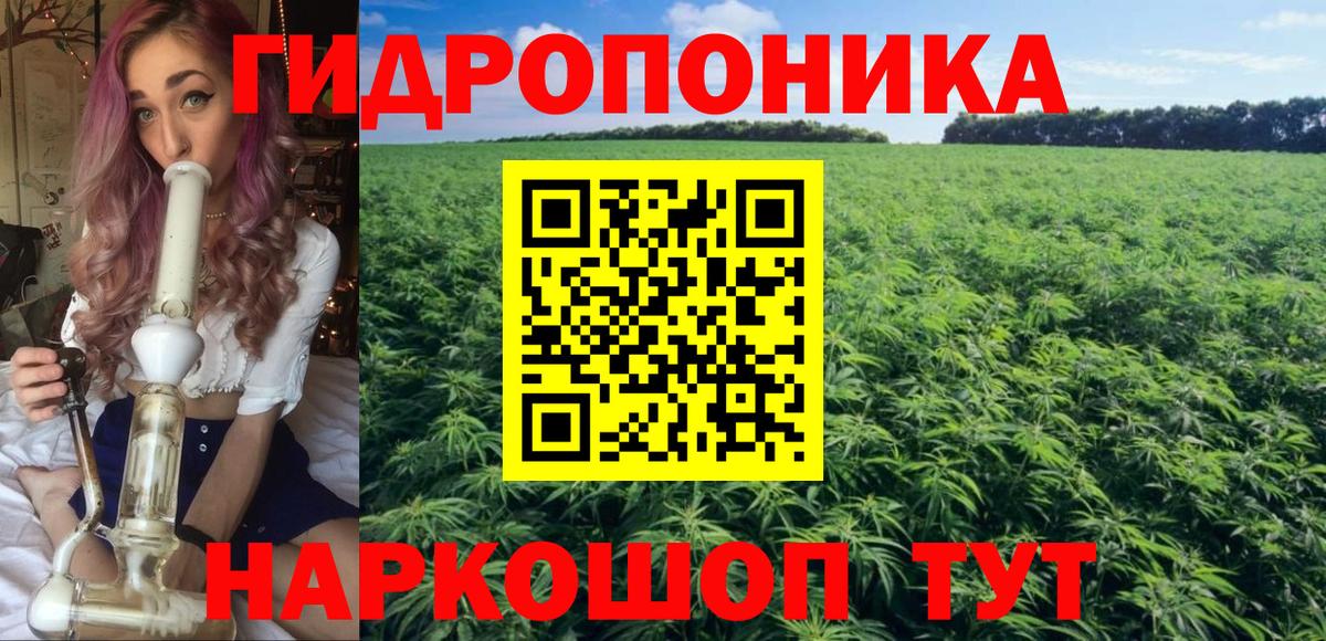 Бошки марихуана гибрид Дубна